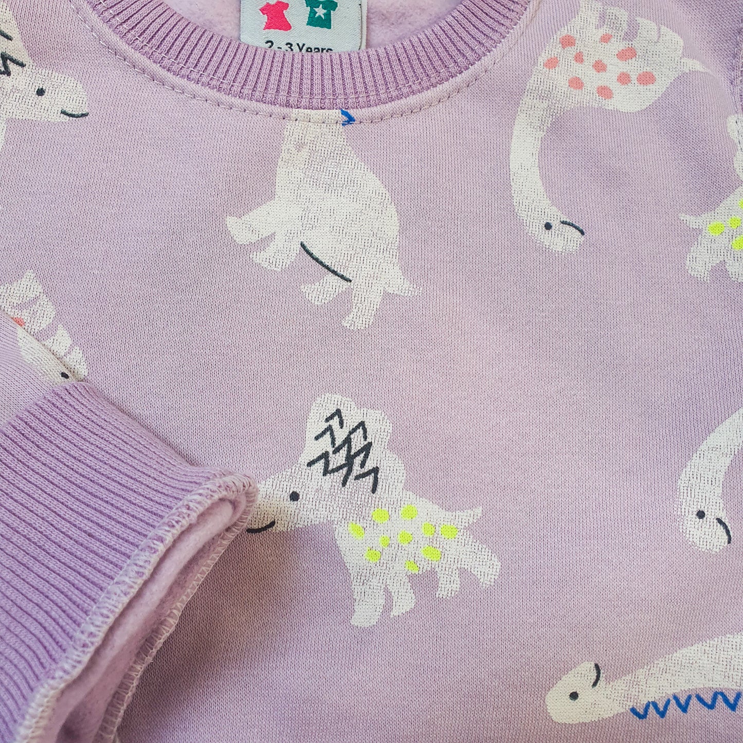 Lilac colour Dino print fleece tracksuit