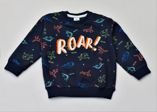 Dinosaur Roar embroided fleece sweatshirt